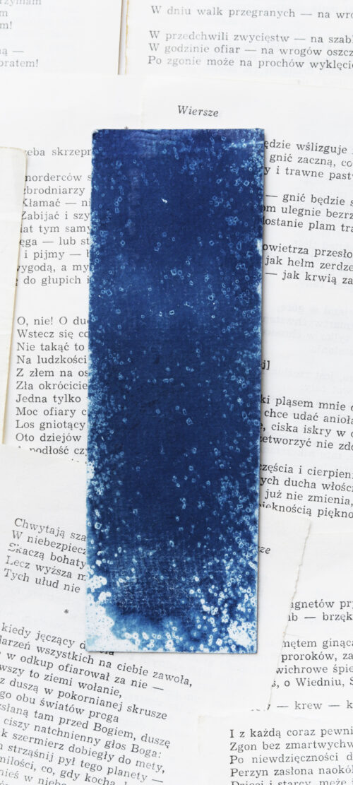 zakładka do książki cyjanotypia SAGA LODU - obrazek 2