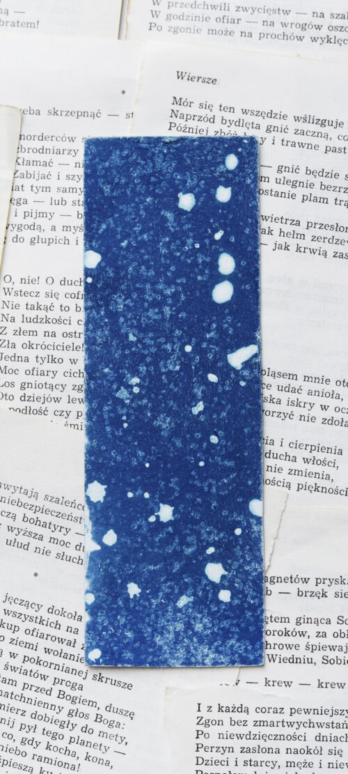 zakładka do książki cyjanotypia SAGA LODU - obrazek 2