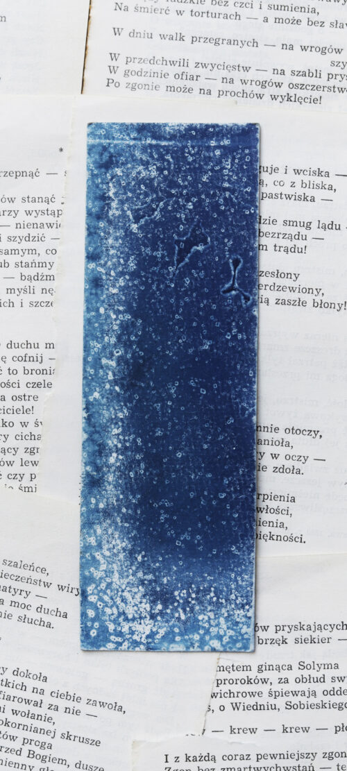 zakładka do książki cyjanotypia SAGA LODU - obrazek 2