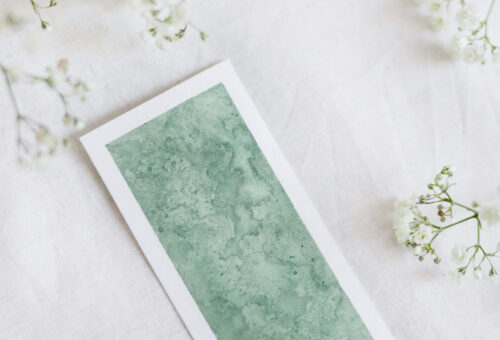 zakładka do książki akwarele SAGA LASU - obrazek 11