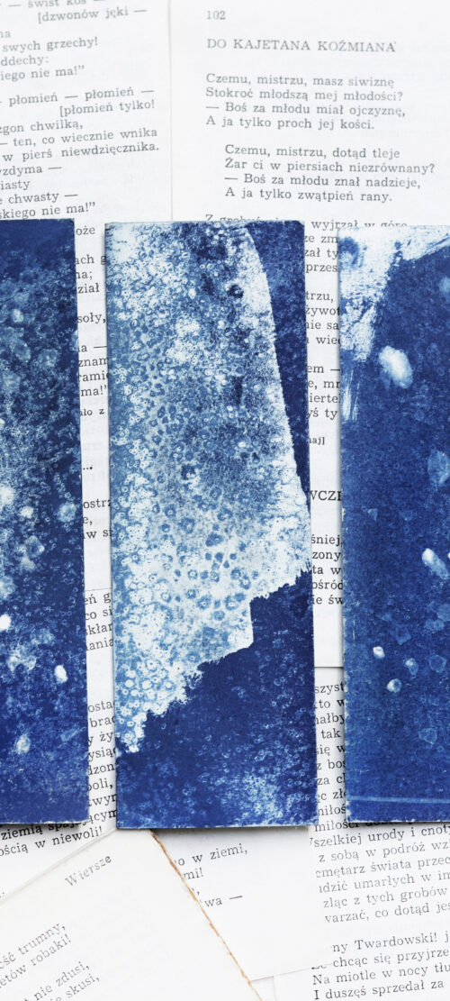 zakładka do książki cyjanotypia SAGA LODU - obrazek 6