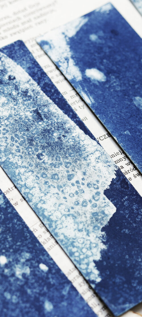 zakładka do książki cyjanotypia SAGA LODU - obrazek 5