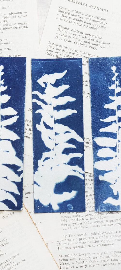 zakładka do książki cyjanotypia SAGA PAPROCI - obrazek 2