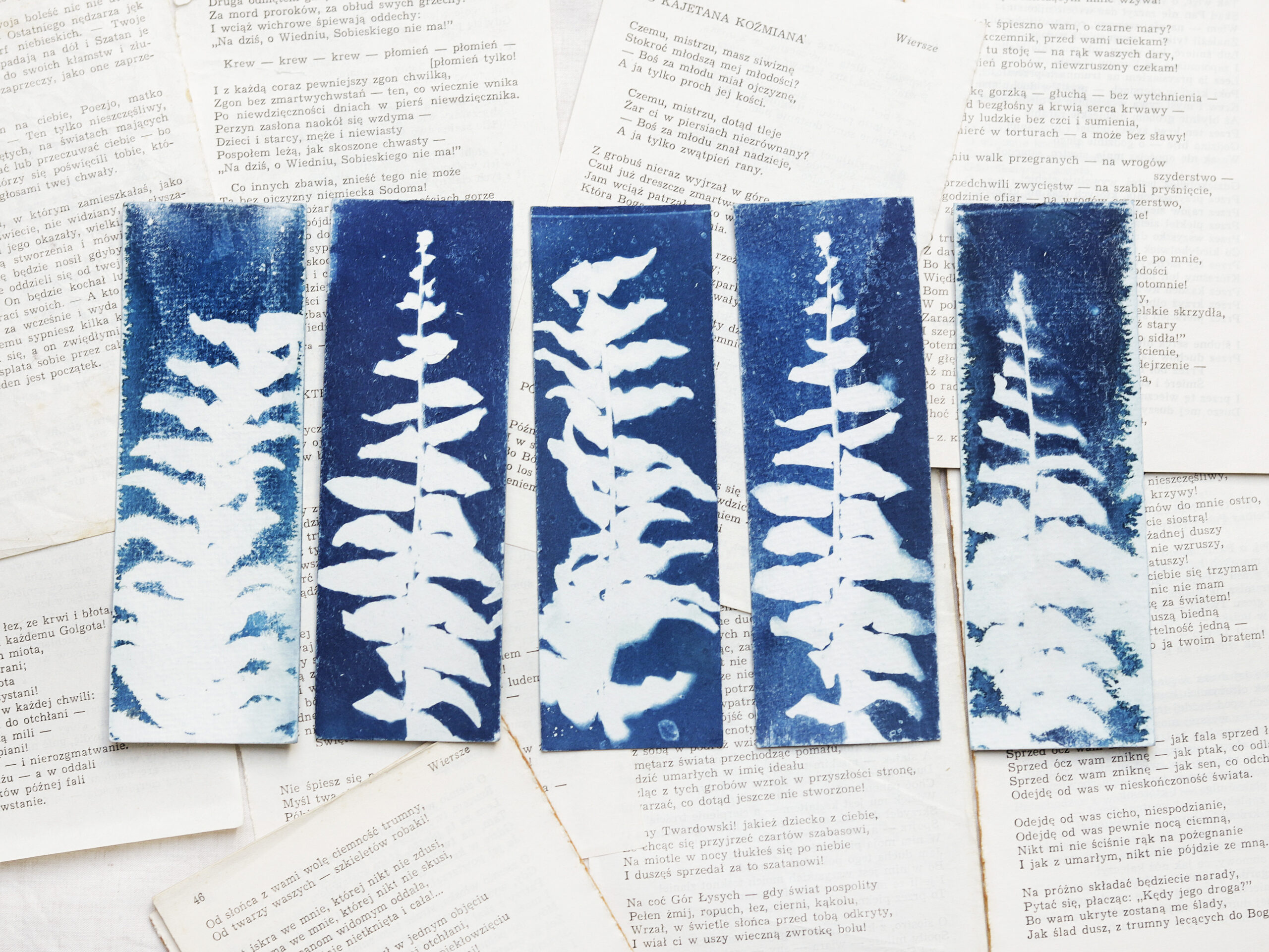 zakładka do książki cyjanotypia SAGA PAPROCI - obrazek 2