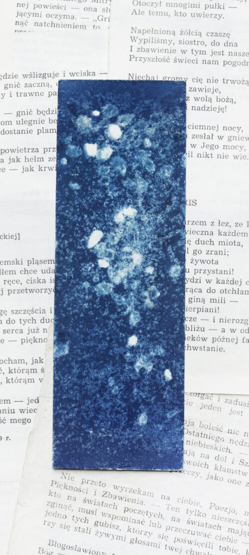 zakładki do książek cyjanotypia ZESTAW 2 szt. - obrazek 2