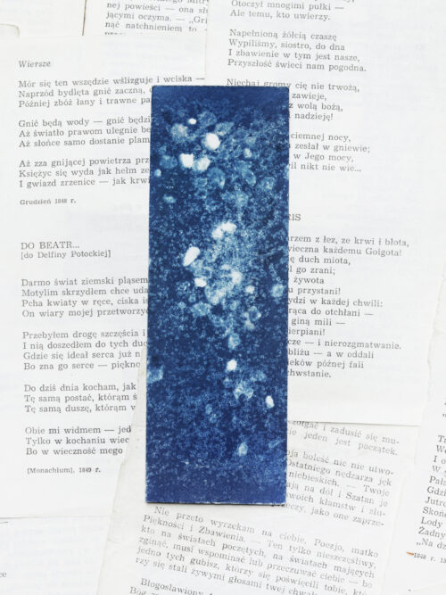 zakładki do książek cyjanotypia ZESTAW 2 szt. - obrazek 2