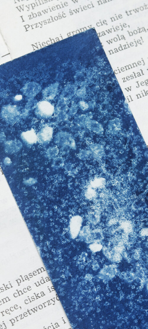 zakładka do książki cyjanotypia SAGA GWIAZD - obrazek 9