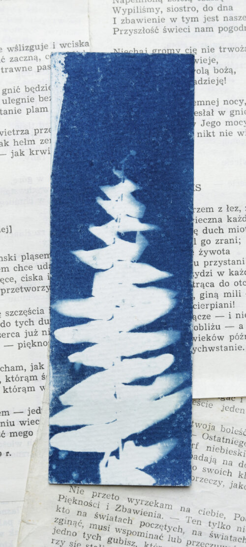 zakładka do książki cyjanotypia SAGA PAPROCI - obrazek 12