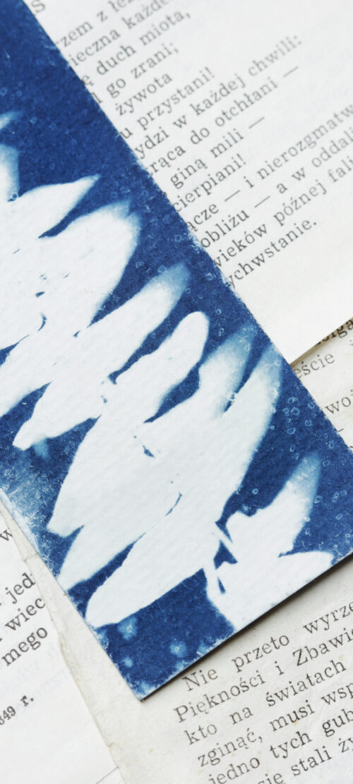 zakładka do książki cyjanotypia SAGA PAPROCI - obrazek 14