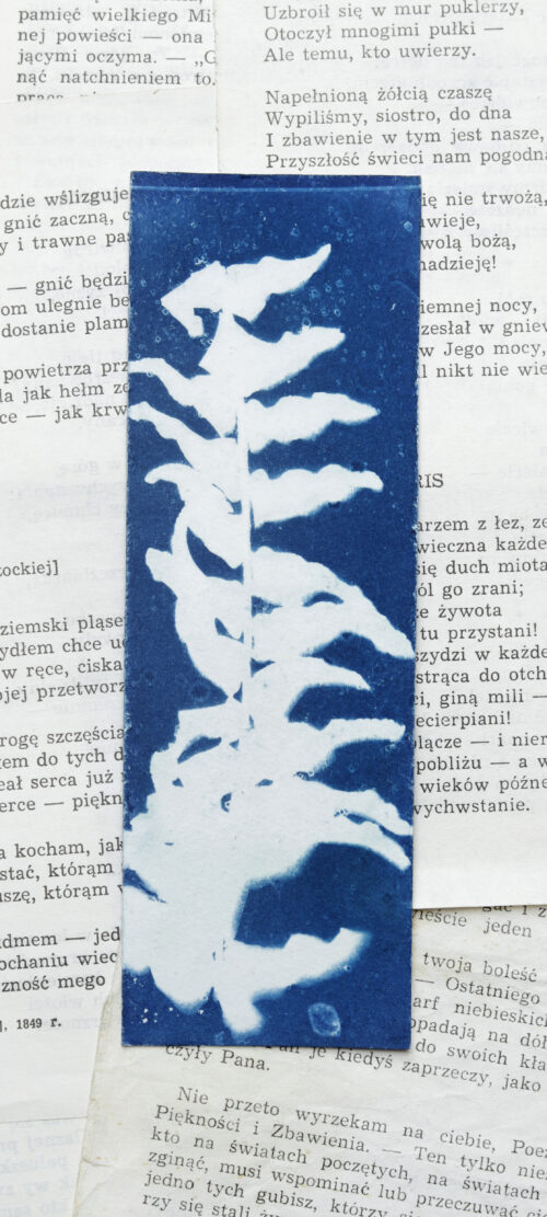 zakładki do książek cyjanotypia ZESTAW 2 szt. - obrazek 21
