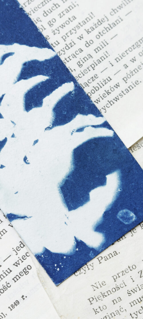 zakładki do książek cyjanotypia ZESTAW 2 szt. - obrazek 17