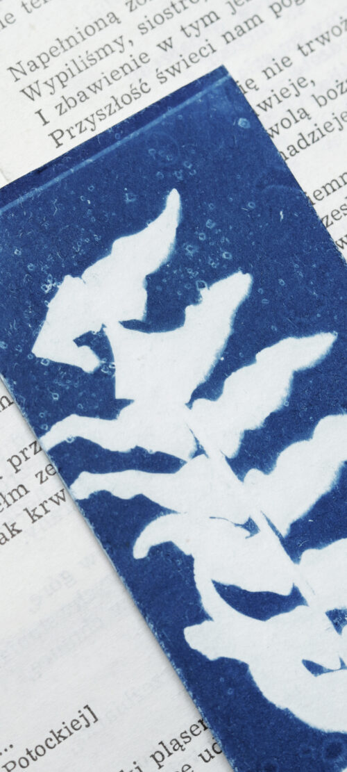 zakładki do książek cyjanotypia ZESTAW 2 szt. - obrazek 18