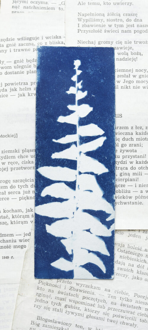 zakładki do książek cyjanotypia ZESTAW 2 szt. - obrazek 3