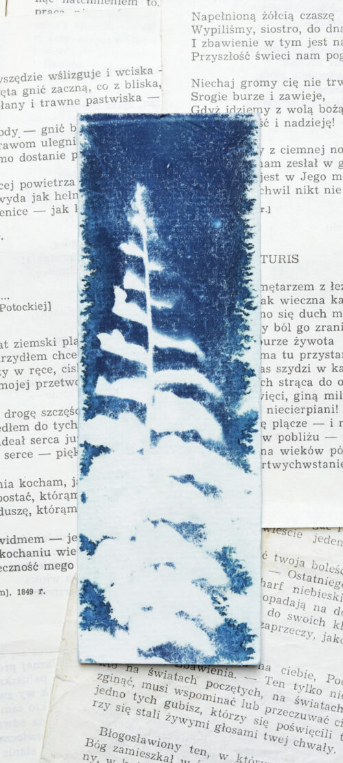 zakładka do książki cyjanotypia SAGA PAPROCI - obrazek 8