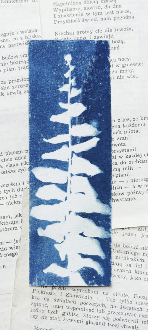 zakładki do książek cyjanotypia ZESTAW 2 szt. - obrazek 23