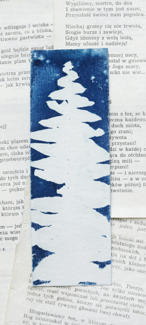 zakładki do książek cyjanotypia ZESTAW 2 szt. - obrazek 22