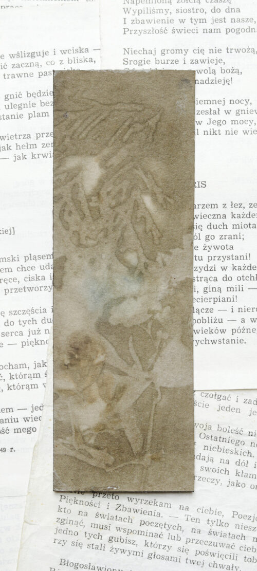 zakładki do książek druk botaniczny ZESTAW 2 szt. - obrazek 6