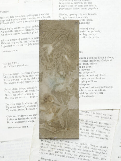 zakładki do książek druk botaniczny ZESTAW 2 szt. - obrazek 6