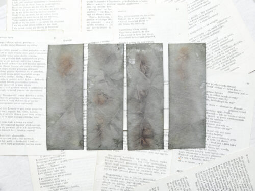 zakładka do książki druk botaniczny SAGA ZIEMI - obrazek 2