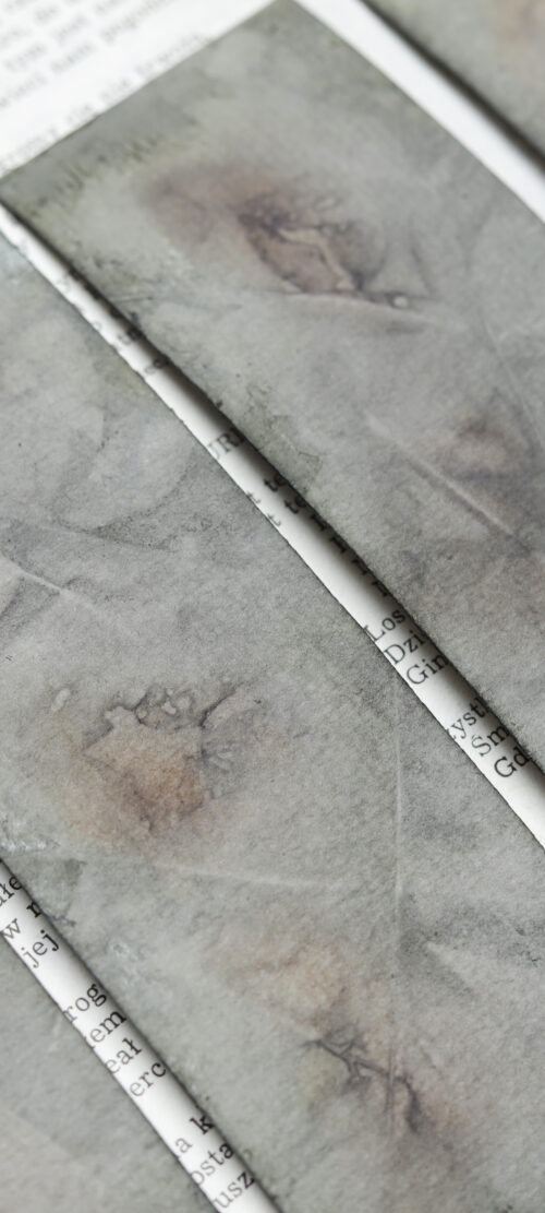 zakładka do książki druk botaniczny SAGA ZIEMI - obrazek 3