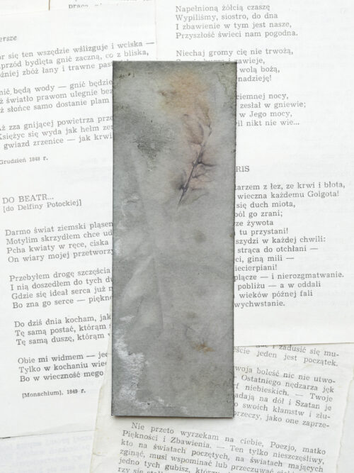 zakładka do książki druk botaniczny SAGA ZIEMI - obrazek 9