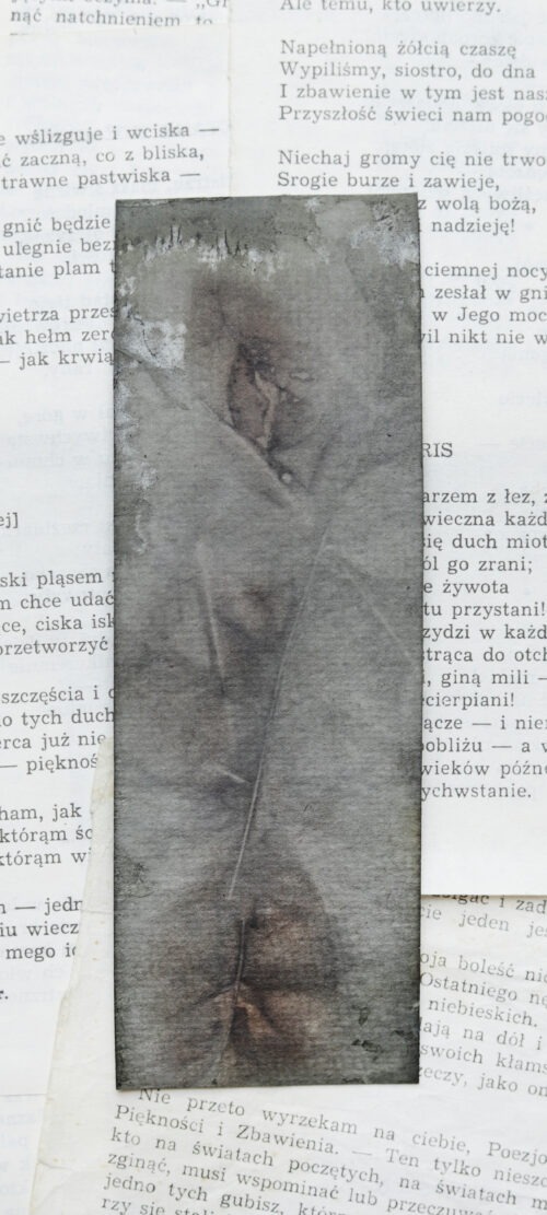 zakładka do książki druk botaniczny SAGA ZIEMI - obrazek 10