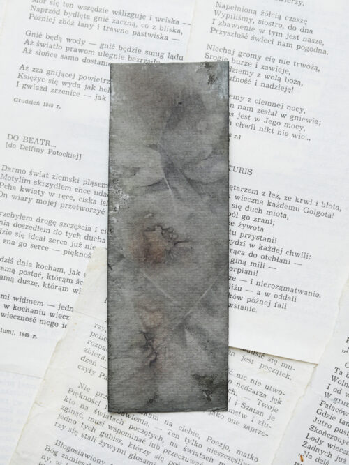 zakładka do książki druk botaniczny SAGA ZIEMI - obrazek 11