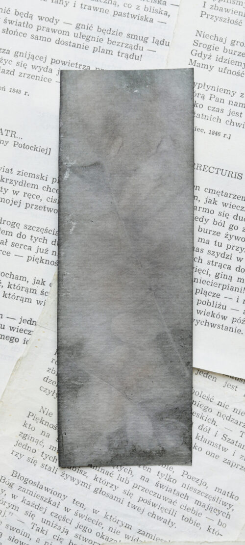 zakładka do książki druk botaniczny SAGA ZIEMI - obrazek 12